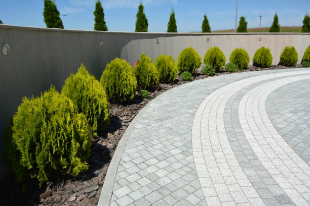 Best Residential Paver Driveway  in Horseshoe Bay, TX